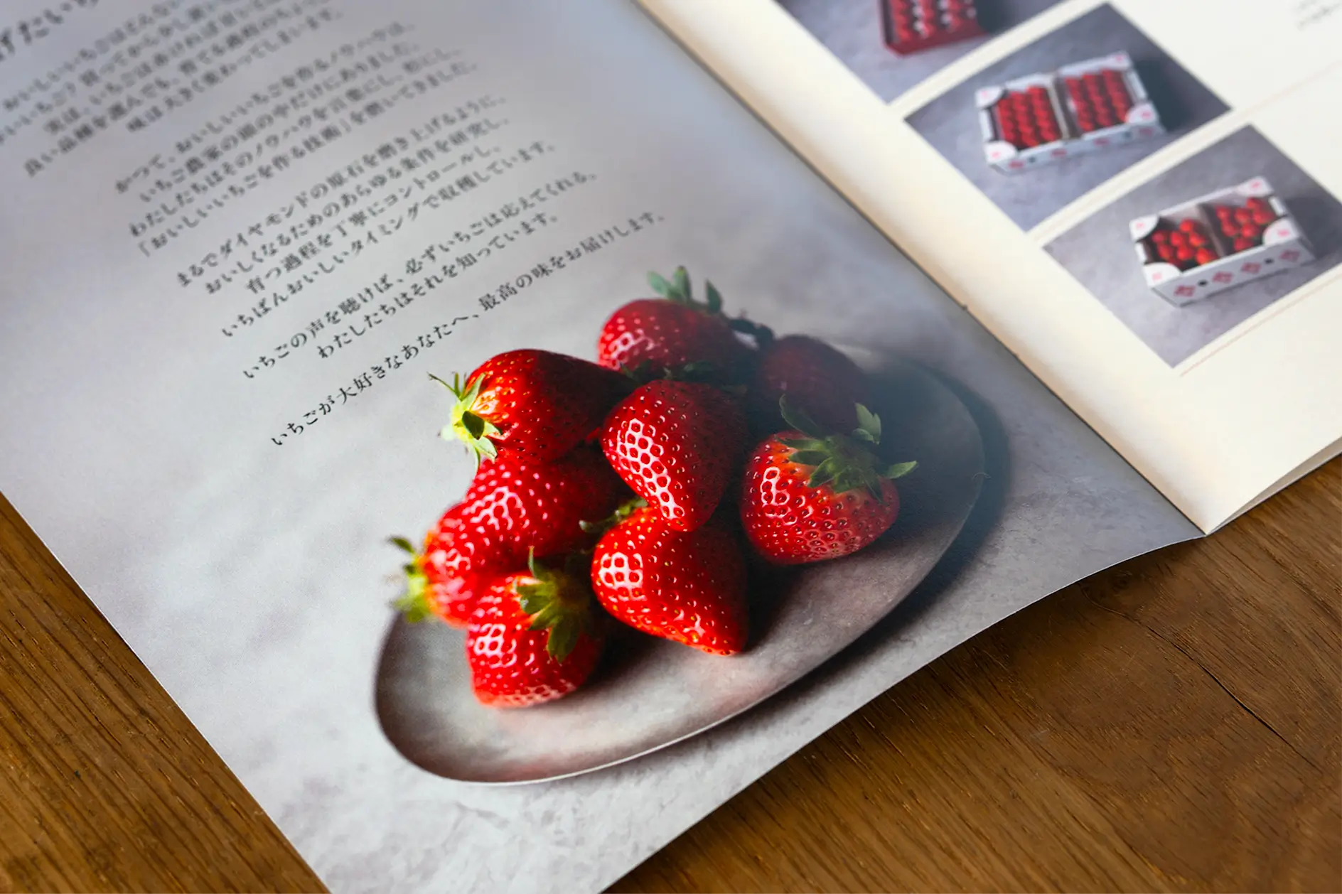 MIGAKI-ICHIGO